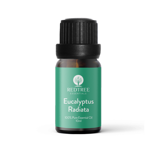Eucalyptus Radiata 100% Pure Essential Oil - 10ml