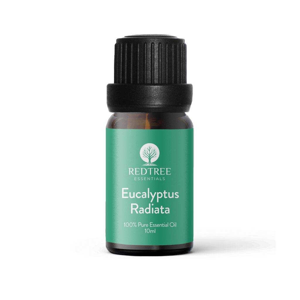 Eucalyptus Radiata 100% Pure Essential Oil - 10ml
